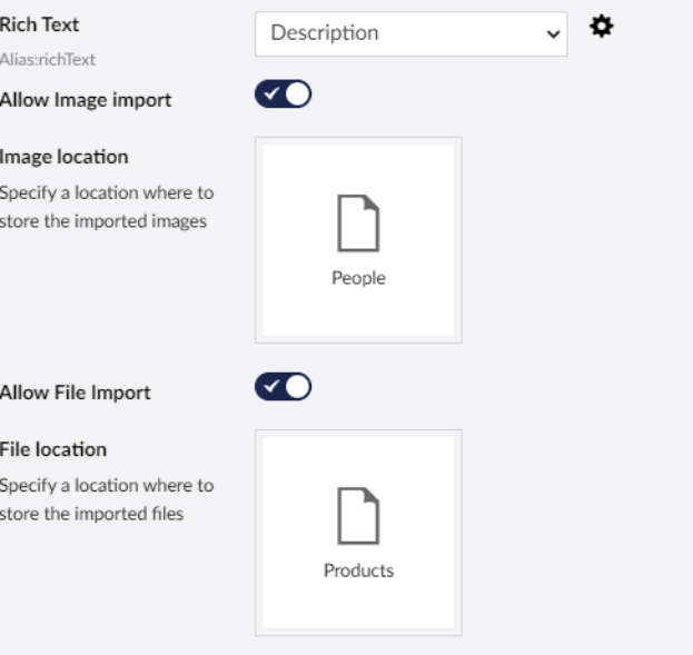 Advanced settings for a Rich Text Editor mapping