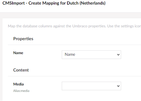Mapping step for one language of a multilingual Document Type