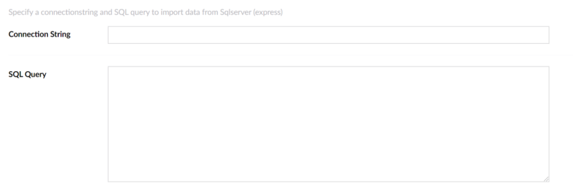 Text box field rendered for the connection string property